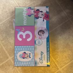 Minnie Mouse Age Blocks 