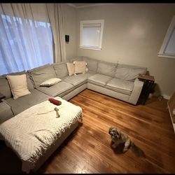 Couch With Pull Out Bed 