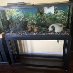 55 Gallon Fish Tank Set Up
