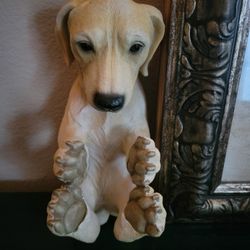 New Toy Dog  Great Condition 