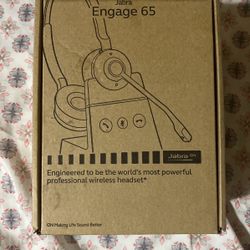 Amazing Headphones For A Fraction!