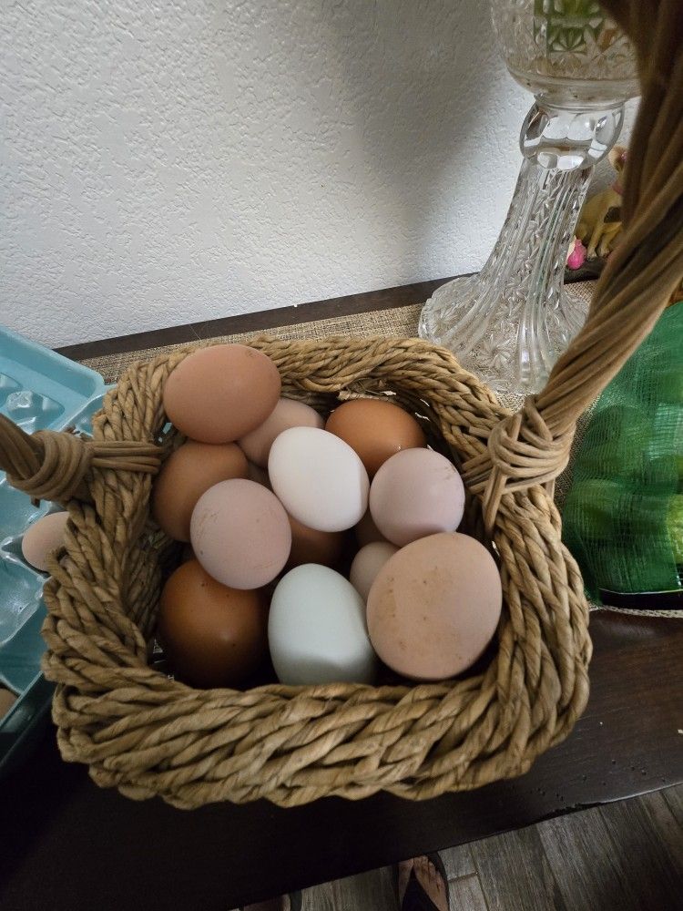 Fresh EGGS
