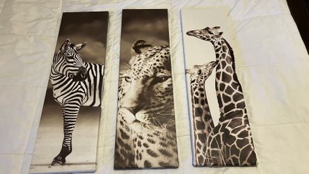 Decorative Animal Frames