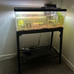 Fish Tank 