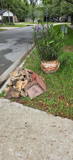 Free landscaping rocks and plant - Free
