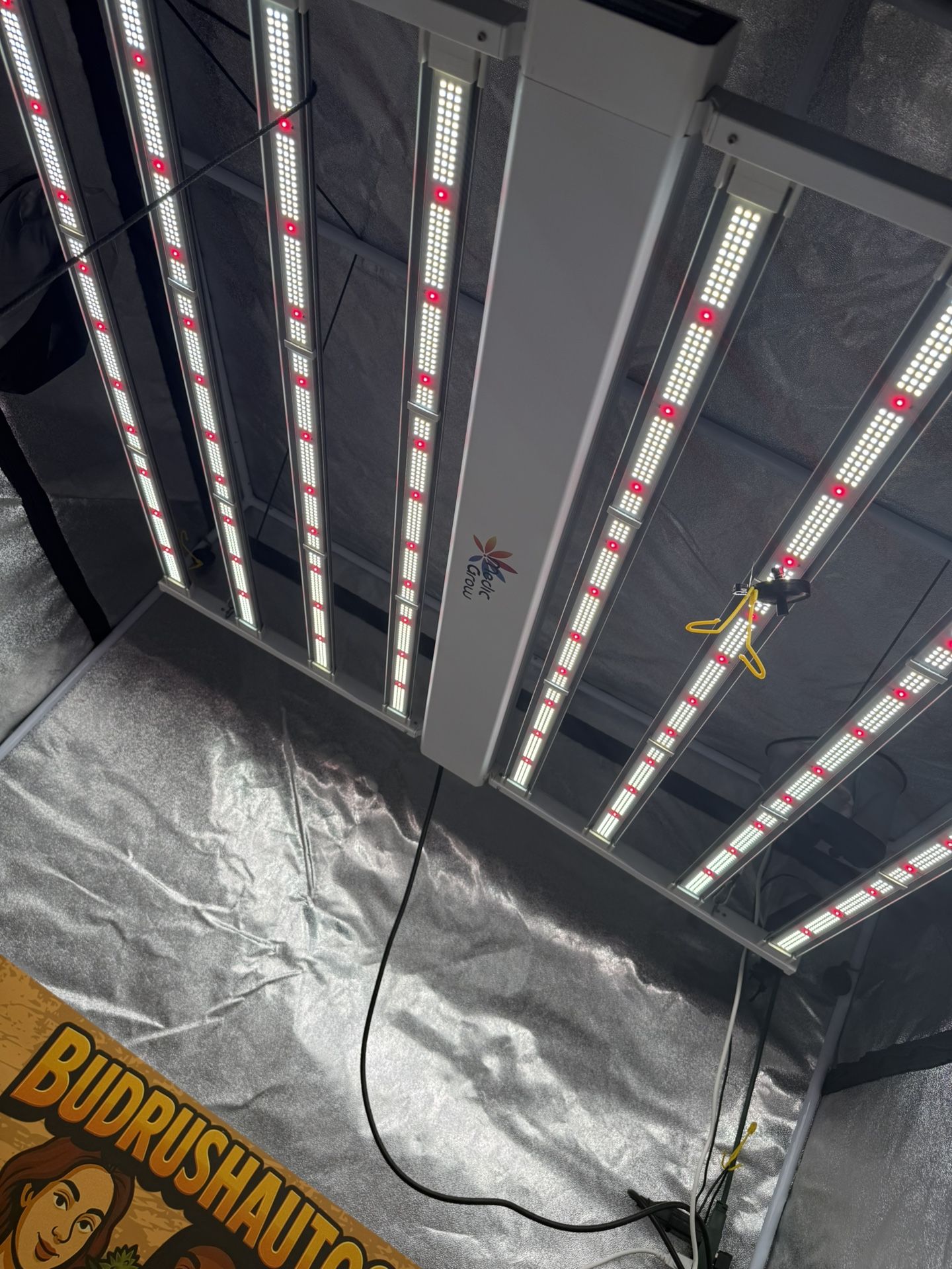 Grow Lights Best Grow