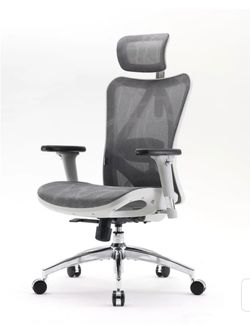 Sihoo Ergonomic Gray  Office Chair