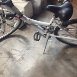 Nikishi Tamarac Mountain Bike