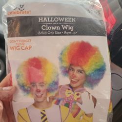 Clown Wig