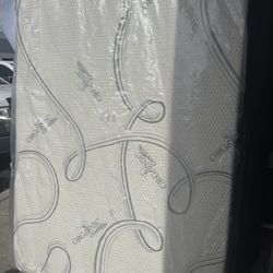 Calking Size Organic Hybrid Cool Memoryfoam Matres!!!!