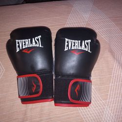 Everlast 12 Oz Boxing Gloves