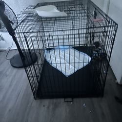 Dog Cage