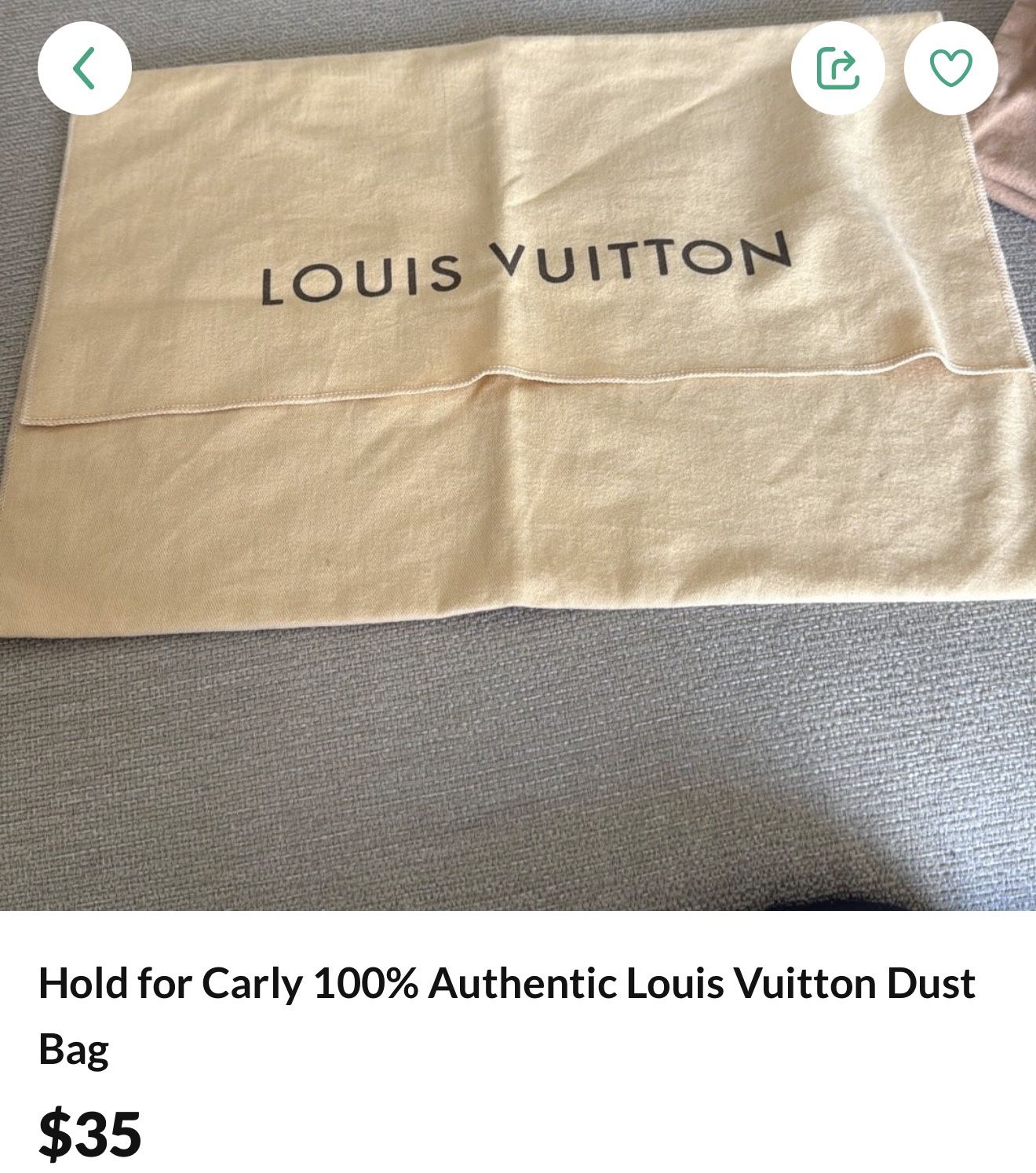 LV Duster Bag For Carly