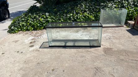 BIG fish tank