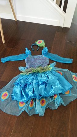 Costume - peacock