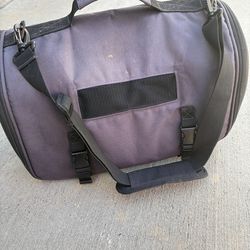 Medium cat carrier and food dispenser