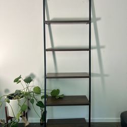 Cb2 Leaning Ladder shelf