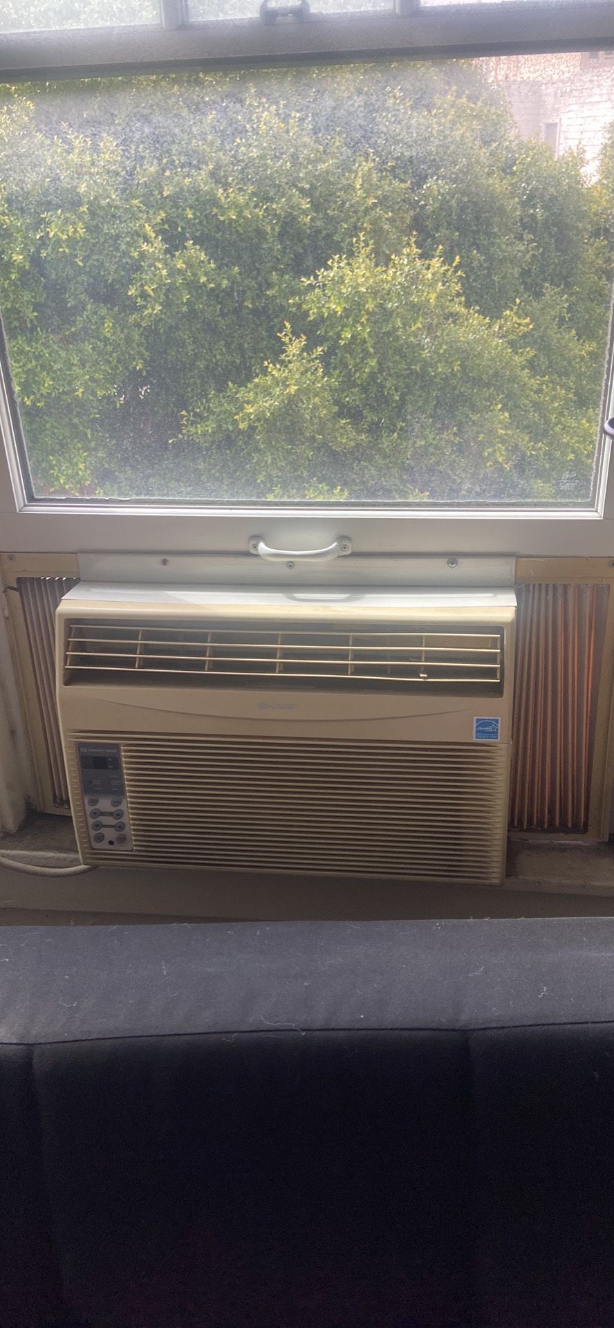 AC unit window 