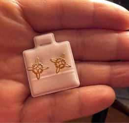 Earrings 10k