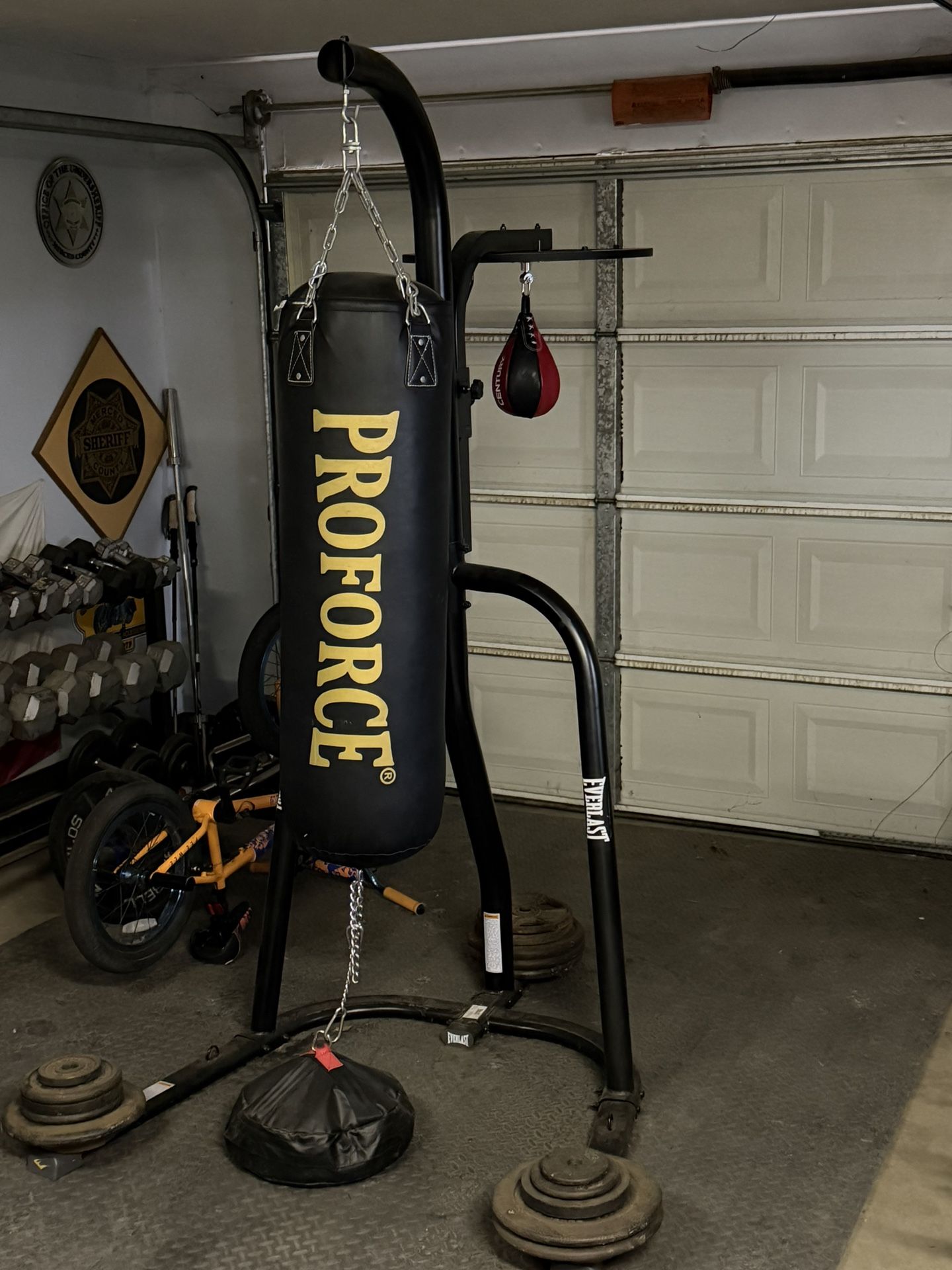 Punching Bag And Speed Bag Set Up