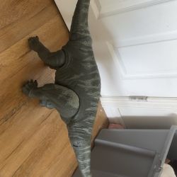 Dinosaur Toy 