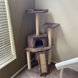 Multilevel Cat Tree