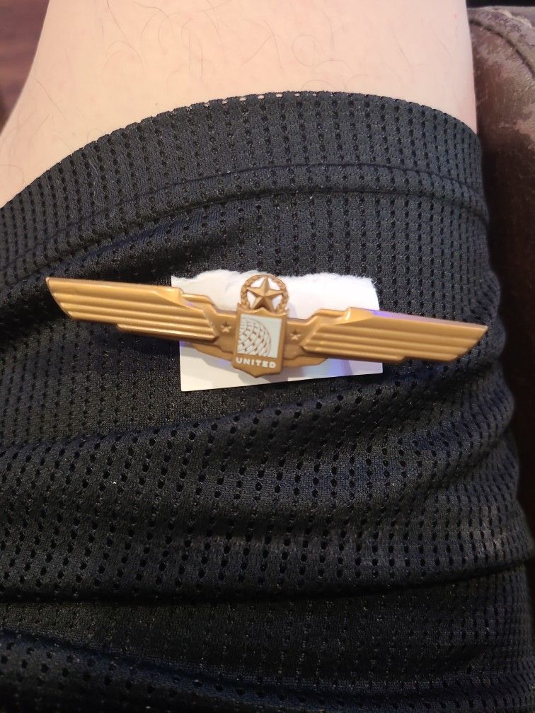 United Airlines Vintage Childrens Plastic Wings Toy Pilots Wings Pinback
