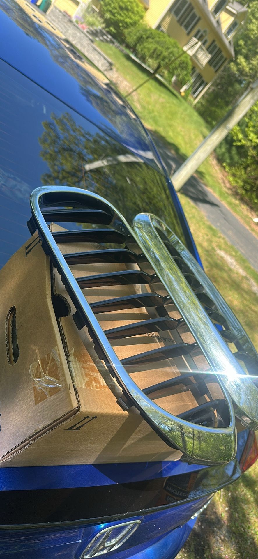 BMW Grille