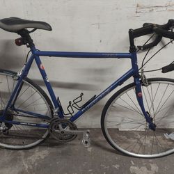 Windsor Road Bike