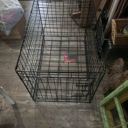 Crate For Dog