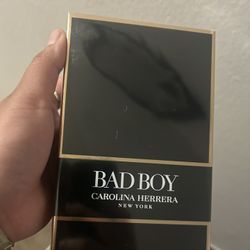 BAD BOY MENS COLOGNE 