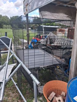Cages