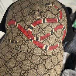 Gucci Hat Snake