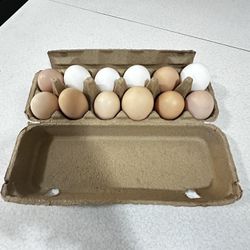 Huevos Orgánicos.  organic eggs