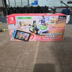 Mario Kart LIVE Home Circuit Luigi
