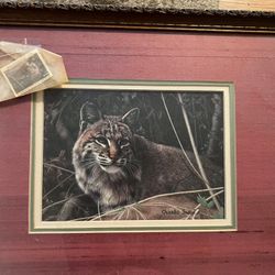 Charles Frace Mississippi wildlife Federation Stamp  Print 