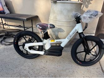 Greenger saddleback 16 inch ebike electric bike Stacyc