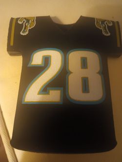Rare Vintage Jacksonville Jaguars Fred Taylor #28 Jersey Koozie (Unused / Original Logo)