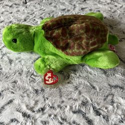 TY Speedy (turtle) beanie Buddy
