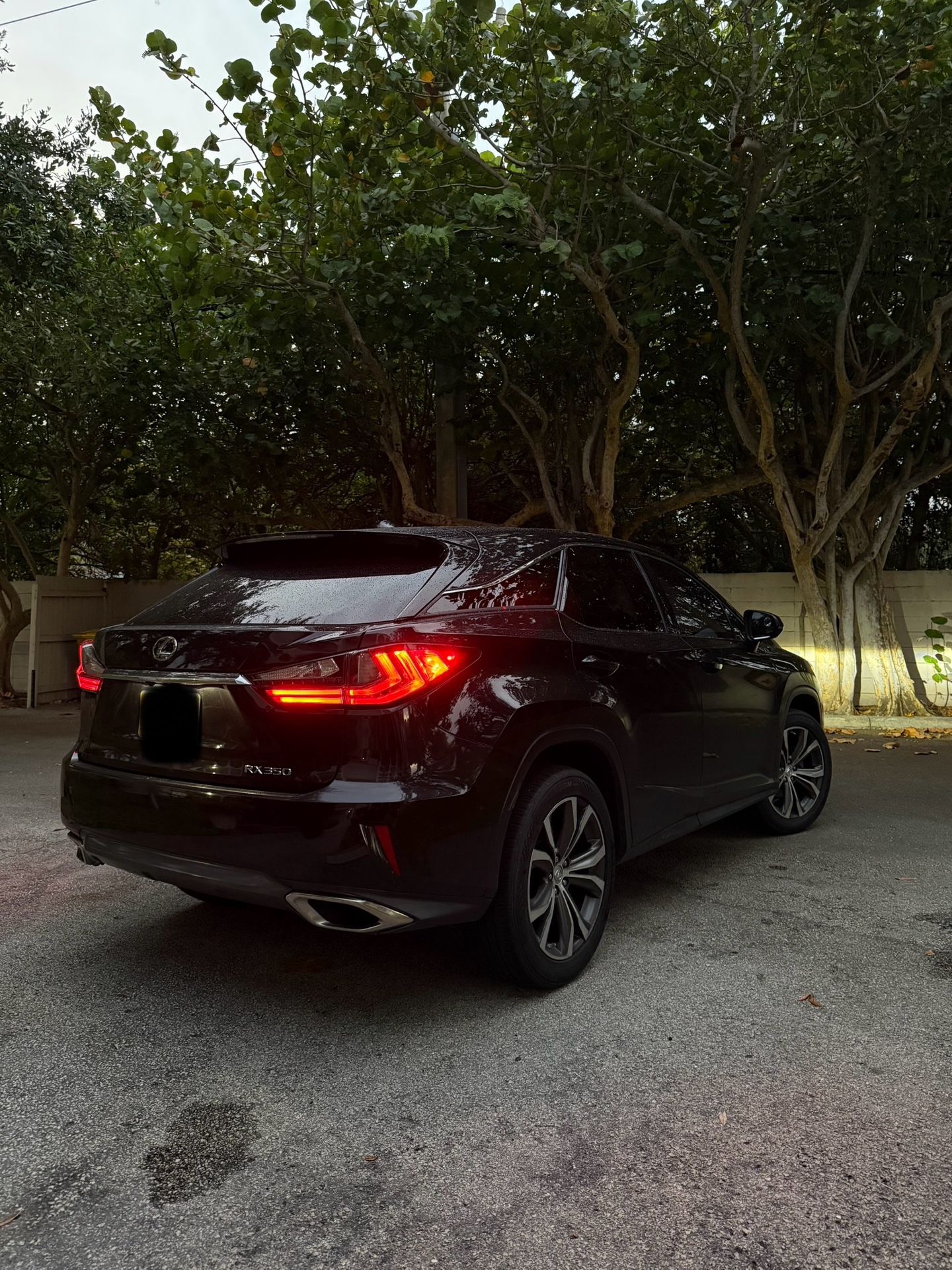 2017 Lexus Rx 350 for Sale in Boca Raton, FL - OfferUp