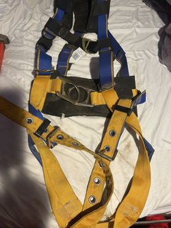  2 Arnés. Muy Buena Condición 