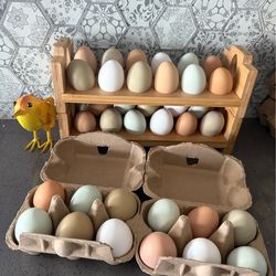Backyard eggs ✨ $8/dozen