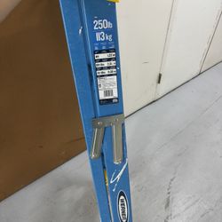 Werner Ladder 40 Bucks
