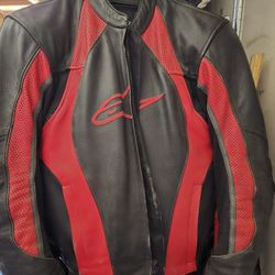Alpine Motorcycle jacket