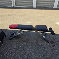 Weight Bowflex Adjustable Bench 