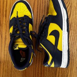 Nike Dunks Used 10.5