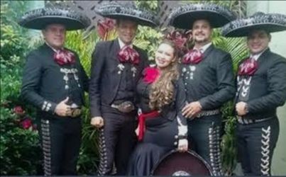 Vihuela mariachi violin