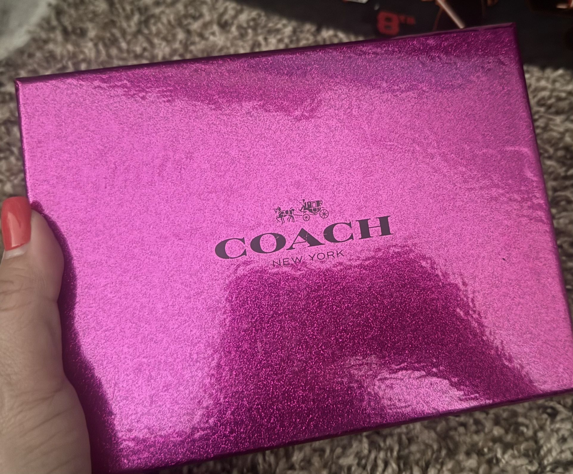 Coach Wallet/Mini Bag