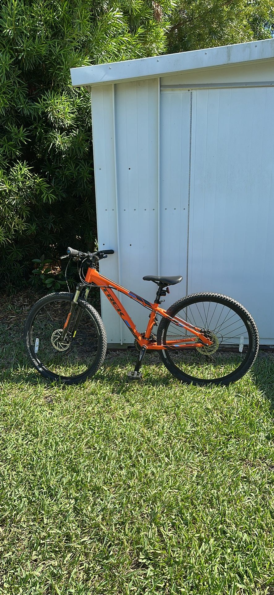 TREK Marlin 6 Mountain Bike