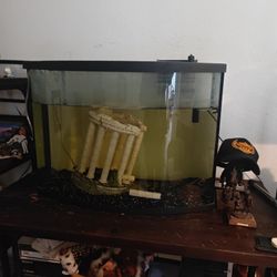 30 Gallon Fish Tank Aquarium With Light And Filter 